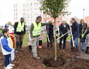 Quartier du Guirbaden à Bischheim - Une transformation écologique