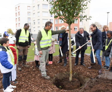 Quartier du Guirbaden à Bischheim - Une transformation écologique