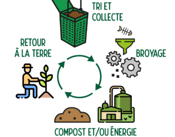 Hautepierre : collecte des déchets alimentaires