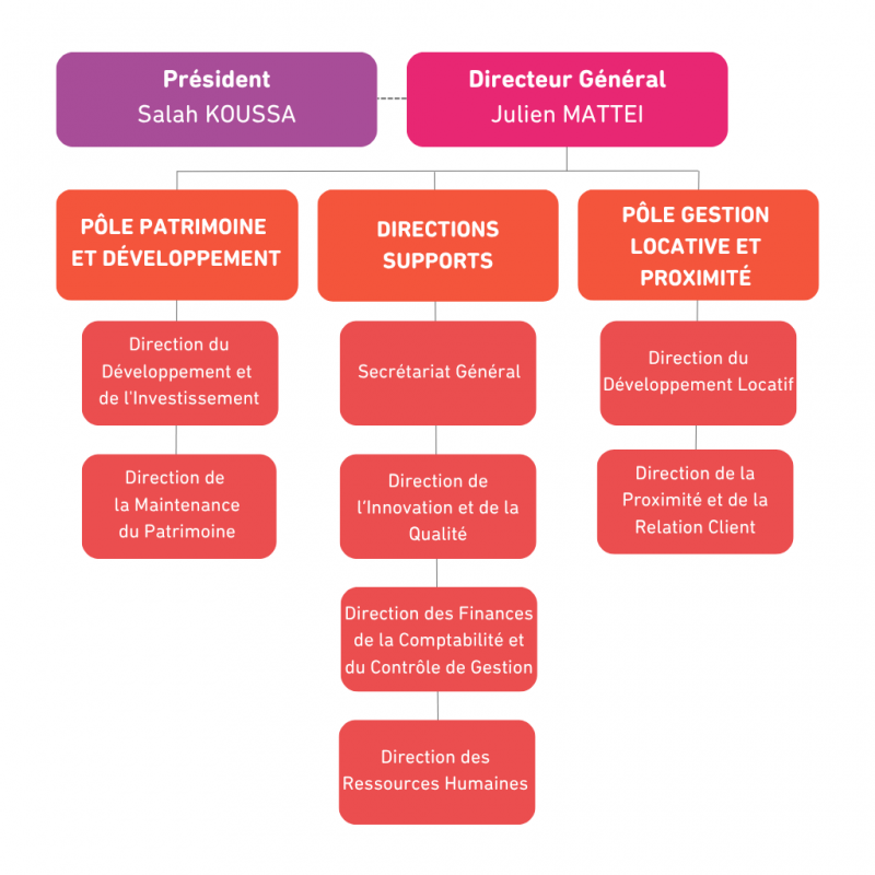 OPHEA_ORGANIGRAMME_2025_OK